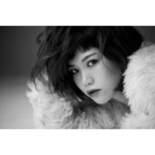 泉彩世子のプロフィール - 音楽ナタリー