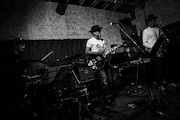 THE ZOOT16