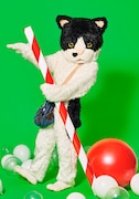 むぎ(猫)