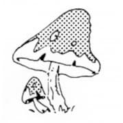 薮内貴広