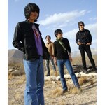 THE PRIVATES - 音楽ナタリー