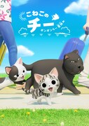 「こねこのチー ポンポンらー夏休み」ティザービジュアル
