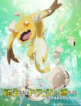 「転生したらドラゴンの卵だった」ビジュアル