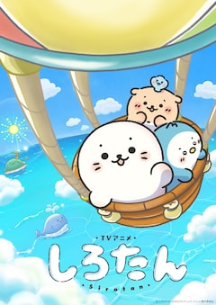 しろたん