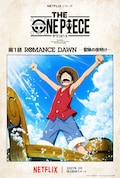 THE ONE PIECE