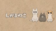 「しかるねこ」キービジュアル