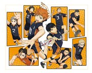 「ハイキュー!!」ビジュアル