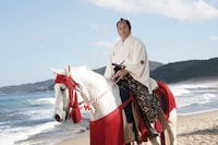 新・暴れん坊将軍