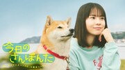 ドラマ「今日のさんぽんた」キービジュアル