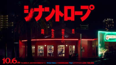 シナントロープ