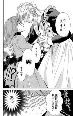 「そのメイド、危険につき」