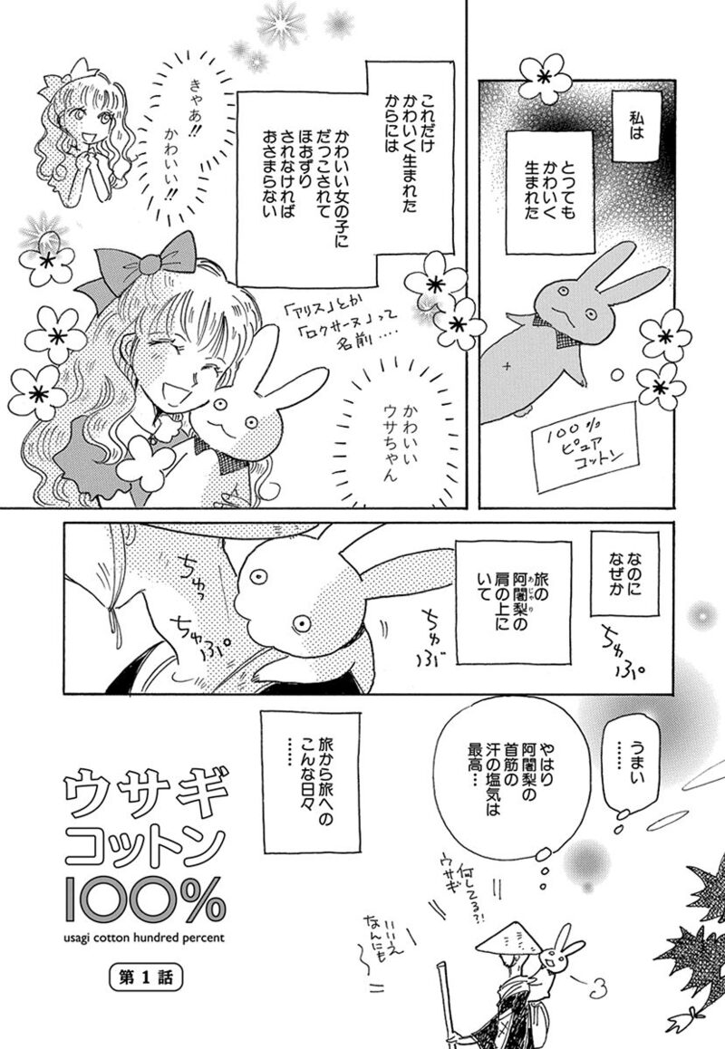 「ウサギコットン100％」1