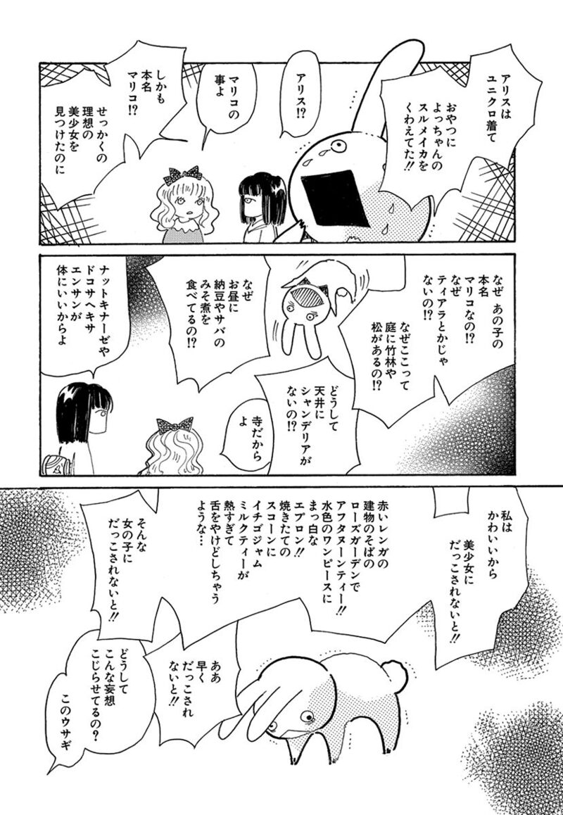 「ウサギコットン100％」12