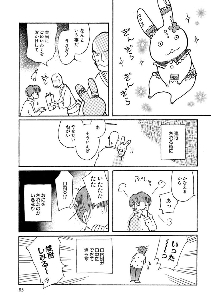 「ウサギコットン100％」23