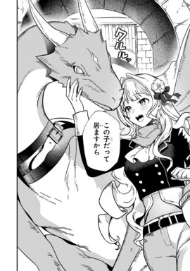 「ゼロ戦エース、異世界で最強の竜騎士になる！」