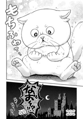 「根暗騎士による溺愛満喫中のブサ猫、実は聖女です」