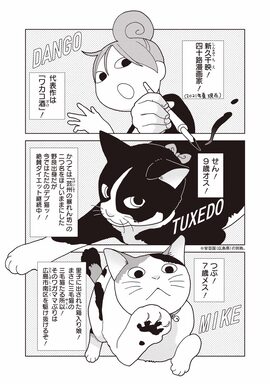 「ひっつきもっつき ねこもぐれ」