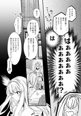 「妃殿下の微笑 身代わり花嫁は、引きこもり殿下と幸せに暮らしたい」