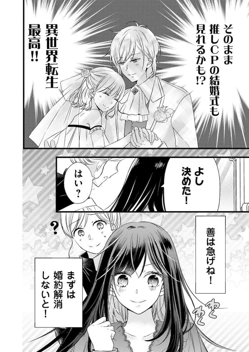「悪役令嬢なのに推しカプから愛でられてます」10