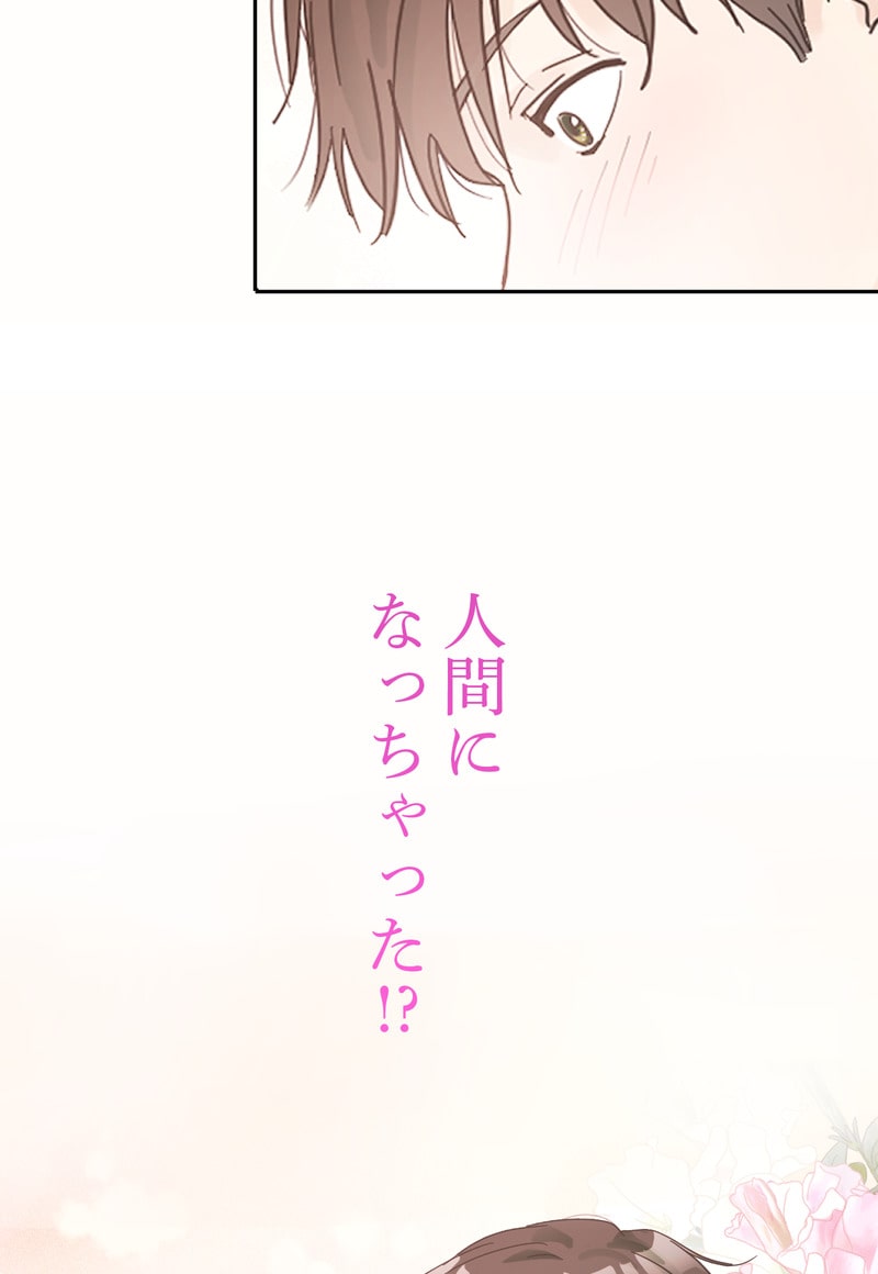 「マルは子犬。」12