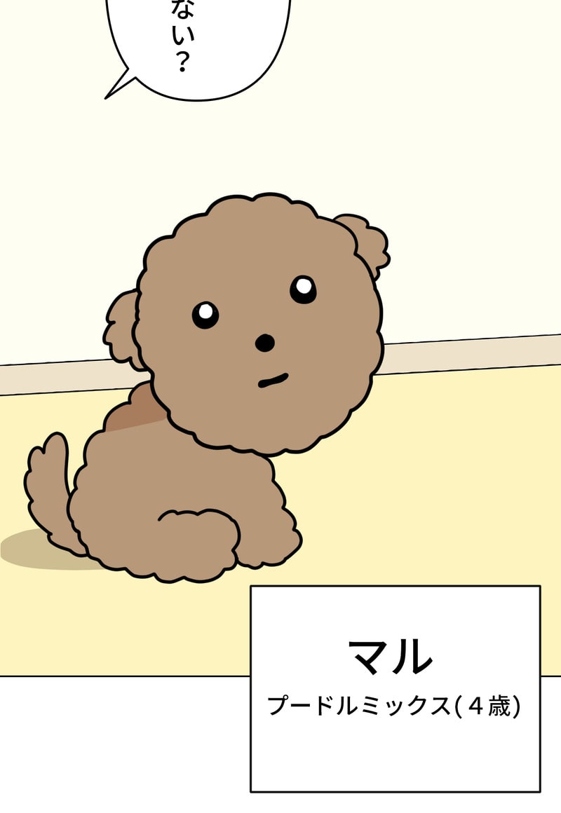 「マルは子犬。」20