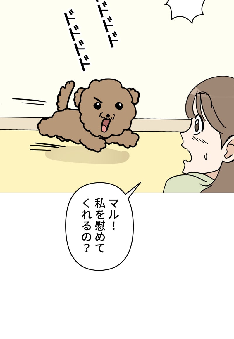 「マルは子犬。」24