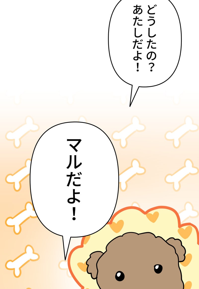 「マルは子犬。」103