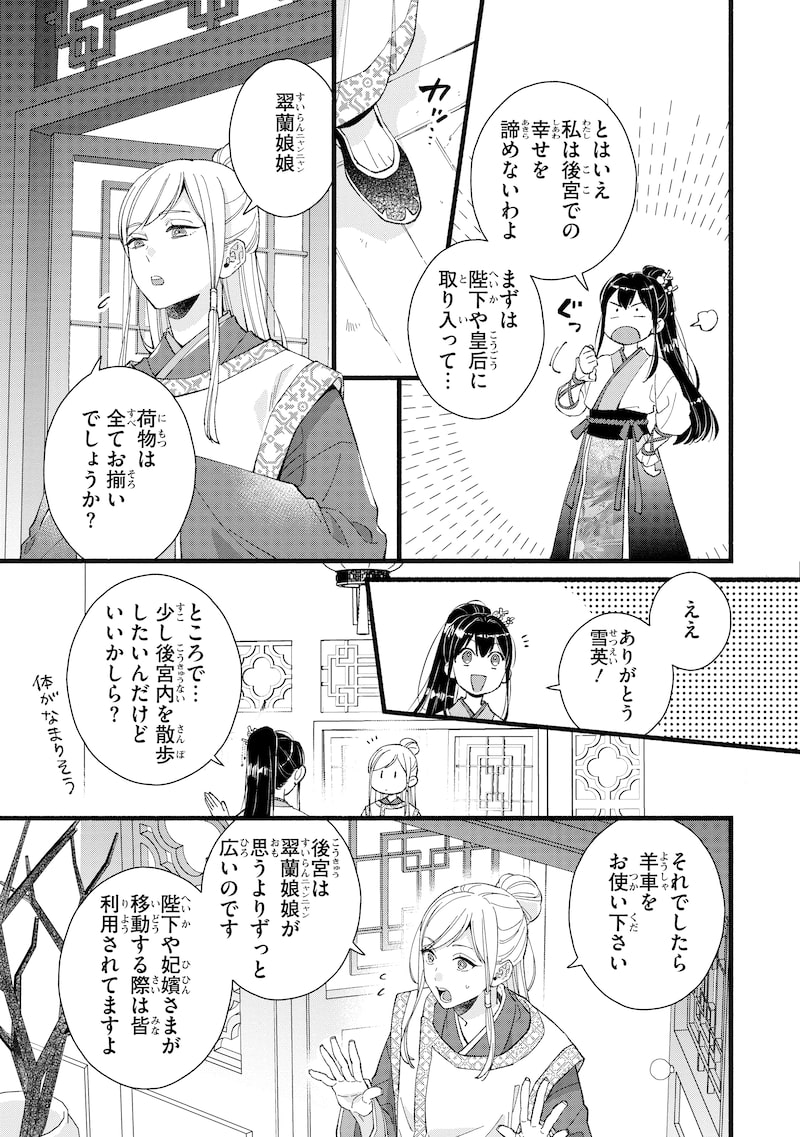 「後宮の男装妃 ～謎解き娘は皇帝のお気に入り～」13