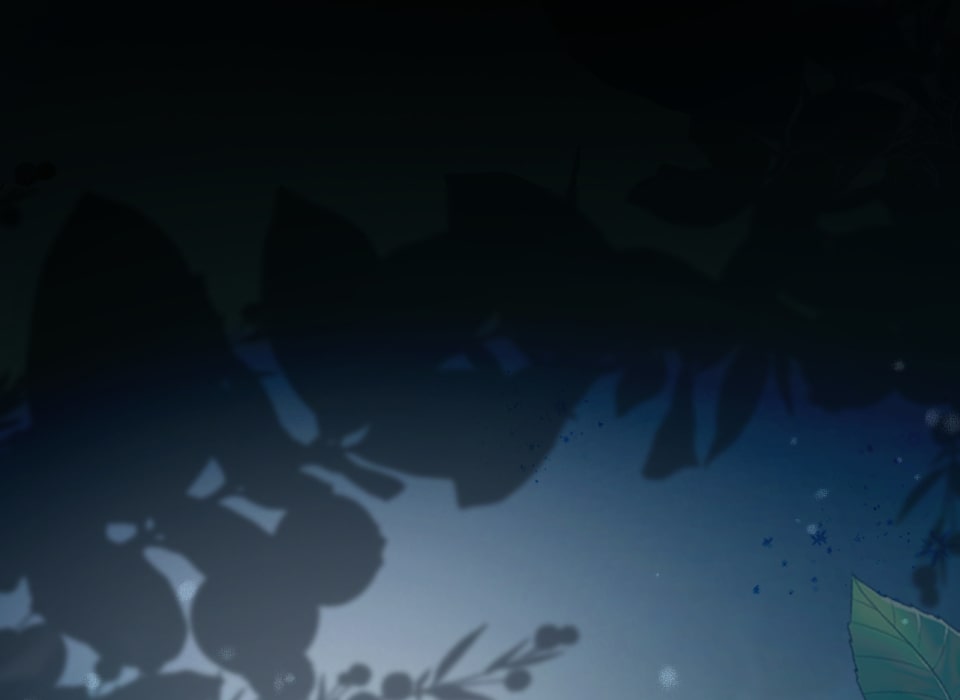 「癒しの魔法は必要ですか？」1