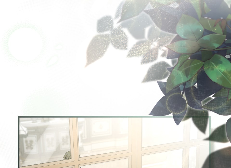 「癒しの魔法は必要ですか？」41