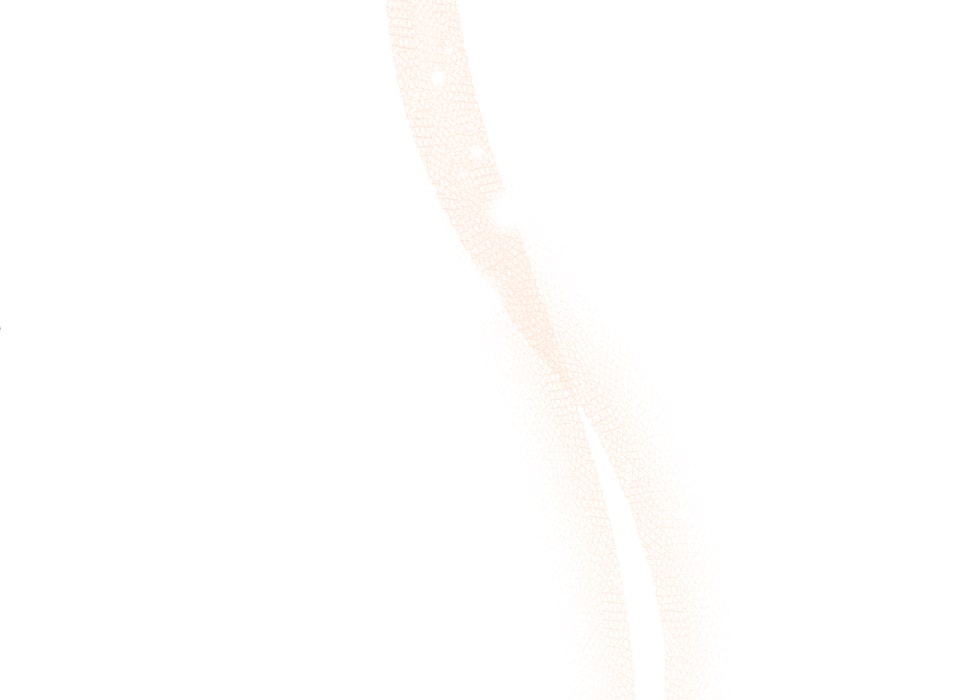 「癒しの魔法は必要ですか？」68