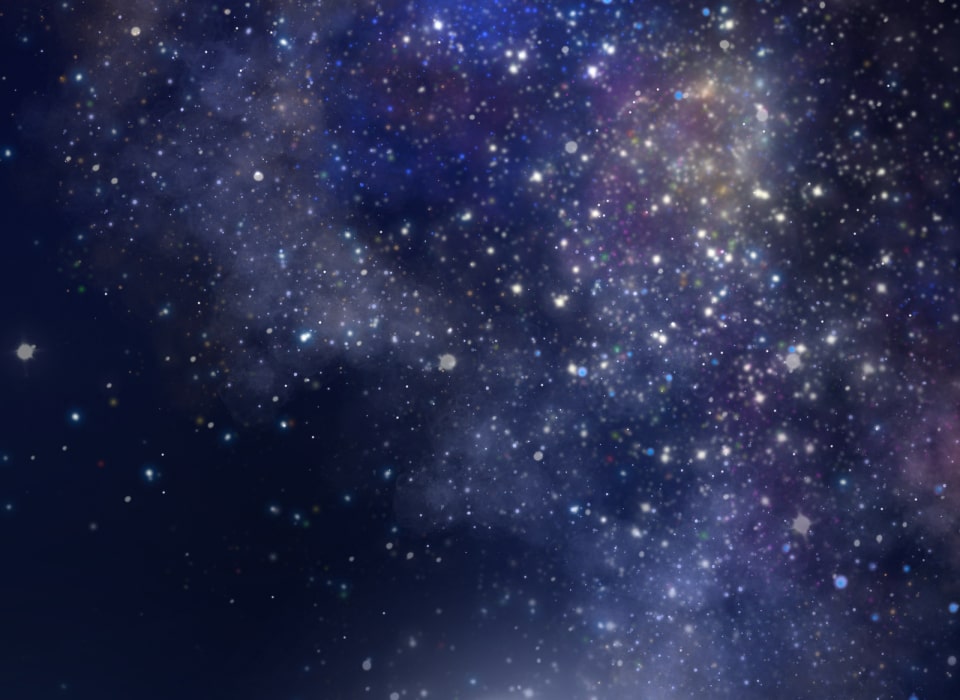 「癒しの魔法は必要ですか？」210