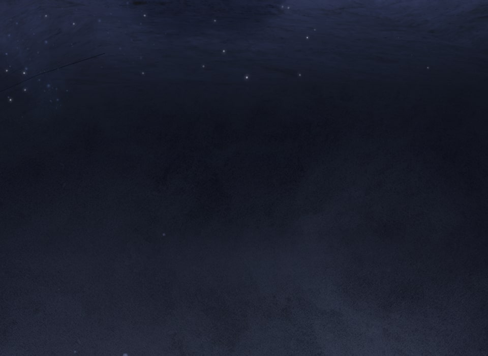 「癒しの魔法は必要ですか？」212