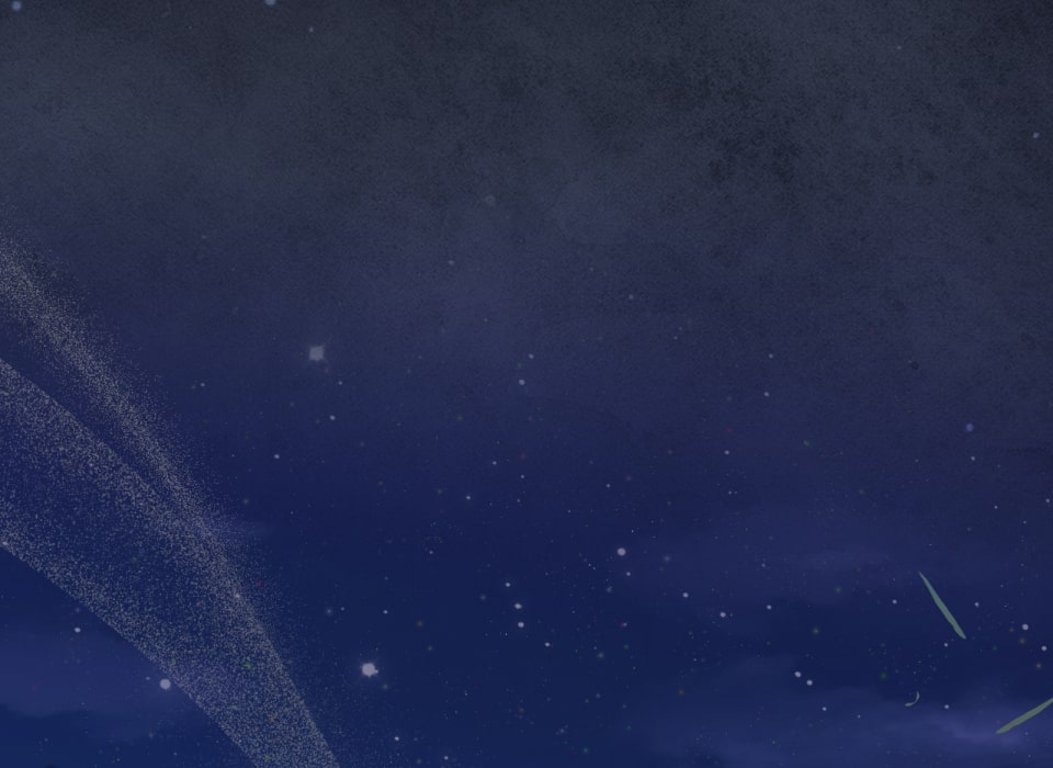 「癒しの魔法は必要ですか？」213