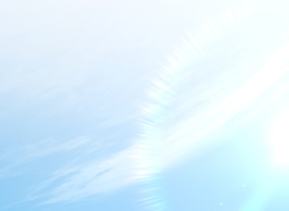 「癒しの魔法は必要ですか？」278