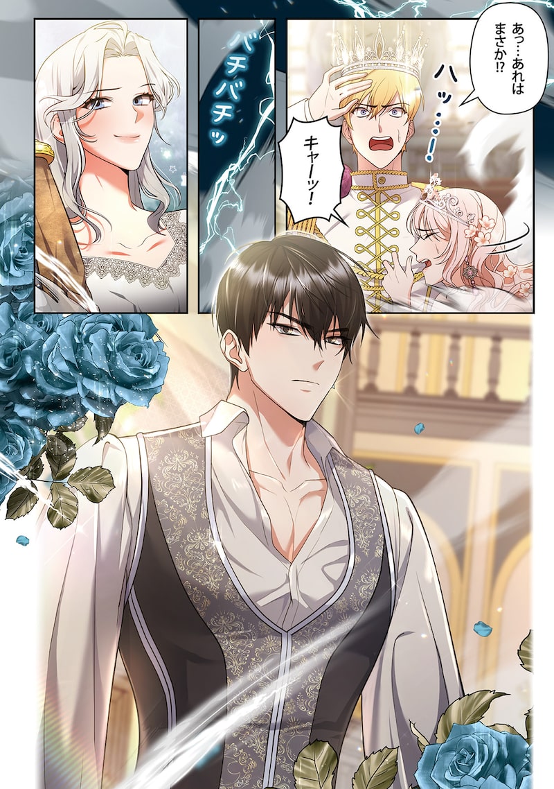 「皇帝になるので離婚してください」28