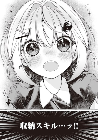 収納魔法が切実に欲しいと願っていたら、転生してしまった