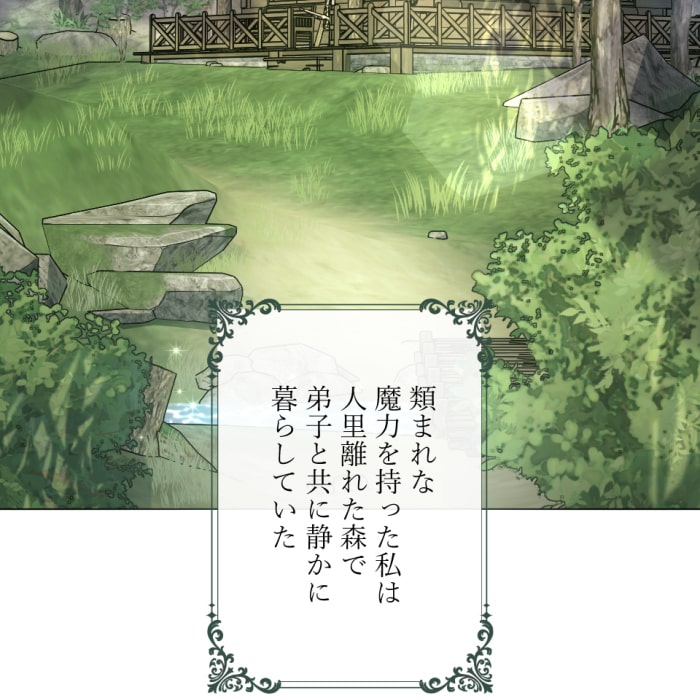 「冤罪悪女は騎士様から逃げられない！」34