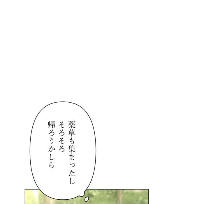 「冤罪悪女は騎士様から逃げられない！」35