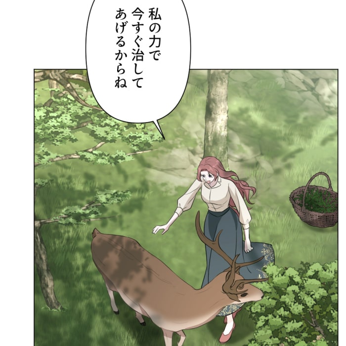 「冤罪悪女は騎士様から逃げられない！」41