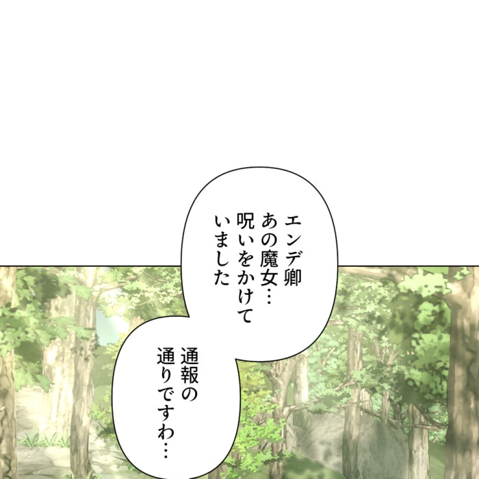 「冤罪悪女は騎士様から逃げられない！」48