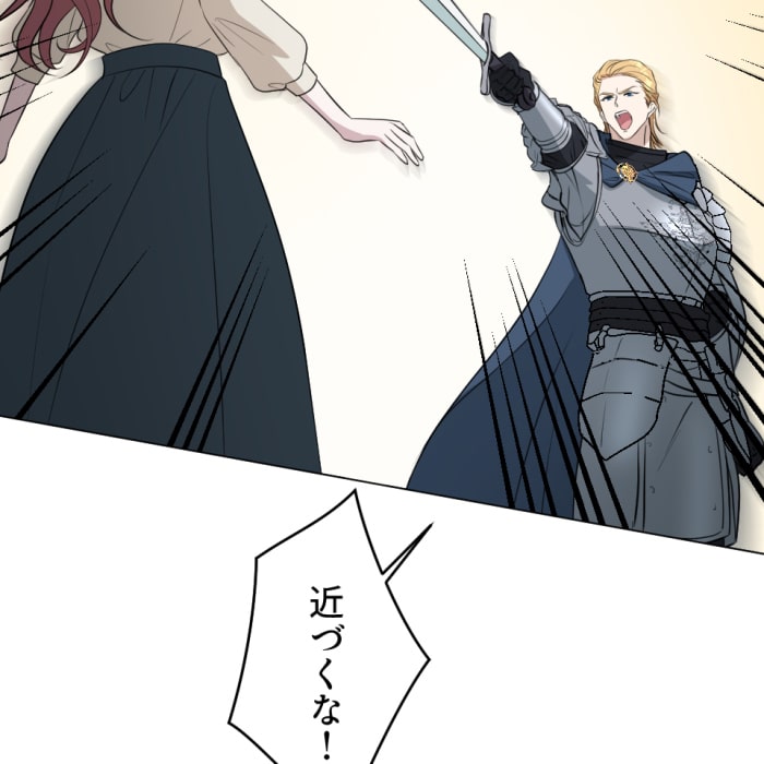 「冤罪悪女は騎士様から逃げられない！」53