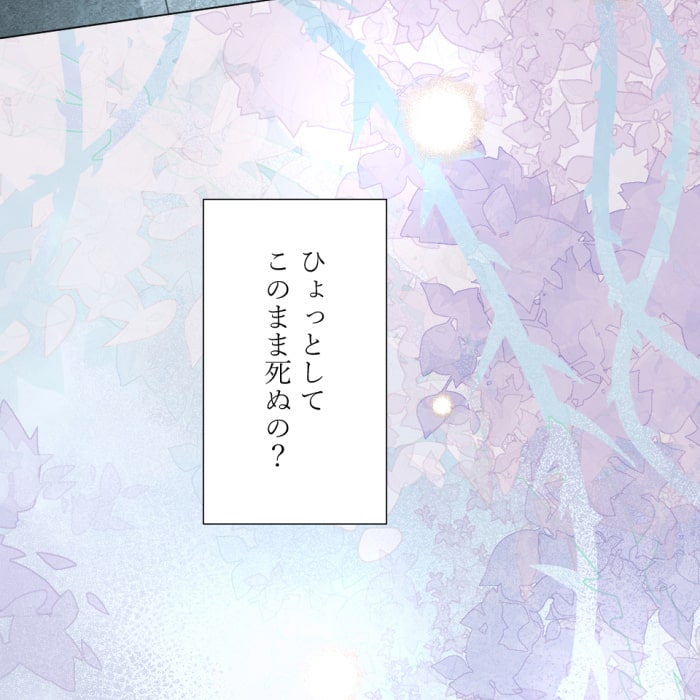 「冤罪悪女は騎士様から逃げられない！」70