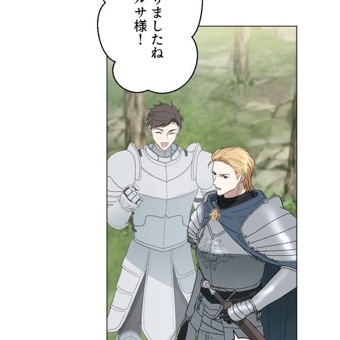 「冤罪悪女は騎士様から逃げられない！」84