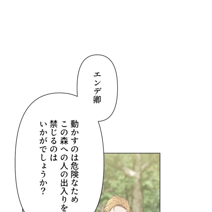 「冤罪悪女は騎士様から逃げられない！」87