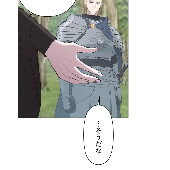 「冤罪悪女は騎士様から逃げられない！」88