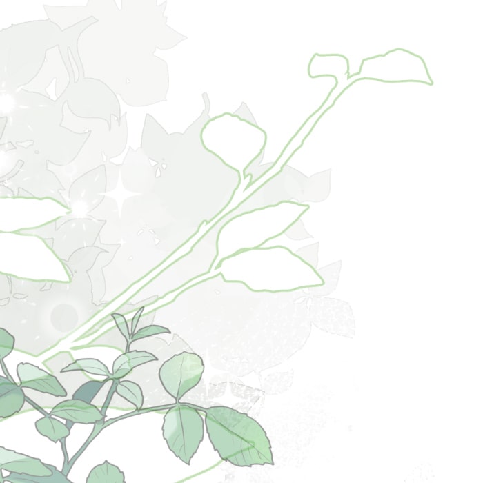 「冤罪悪女は騎士様から逃げられない！」97