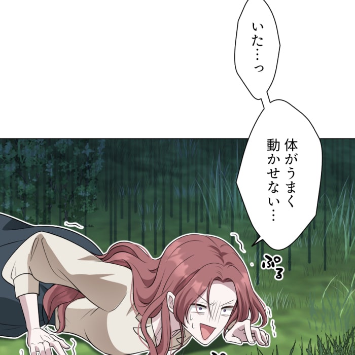 「冤罪悪女は騎士様から逃げられない！」109