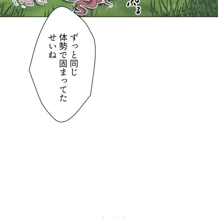 「冤罪悪女は騎士様から逃げられない！」110