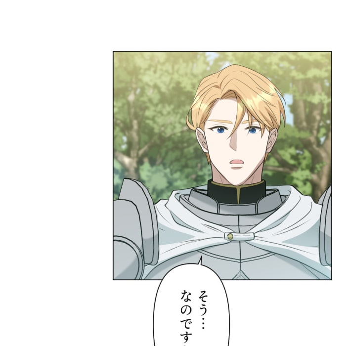 「冤罪悪女は騎士様から逃げられない！」156